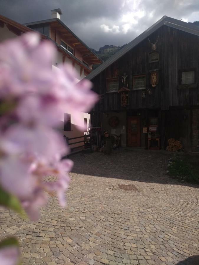 Cianbolpin Guesthouse Canazei Esterno foto