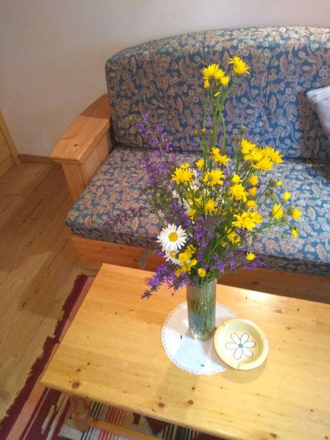 Cianbolpin Guesthouse Canazei Esterno foto